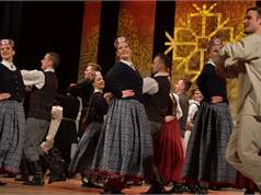 Kauraniesi 2520192303Fjl 746