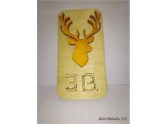 Janis Balodis 9B