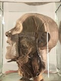 12 B 3