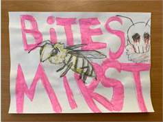 Pilsoniska Lidzdaliba 5