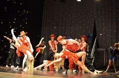 Dsc 2455
