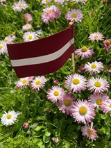 Maija Svetki 2023