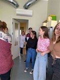 11 B
