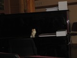 M Img 5835