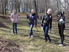 10B Img 8341 M