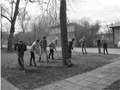 11A Img 5762 M