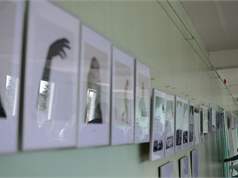 Dsc 3862