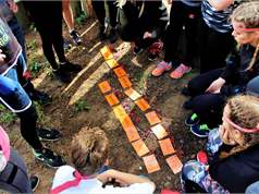 37075350346 13A536f917 K