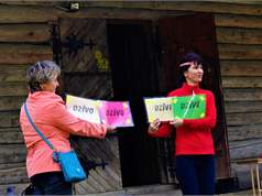 37266246615 02Bd8885f0 K