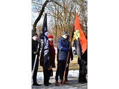 29426052 2207229335961761 746274992755429163 N