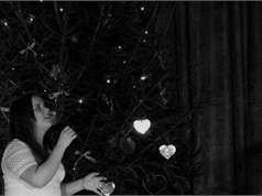 24342297907 8104D2a2fd O