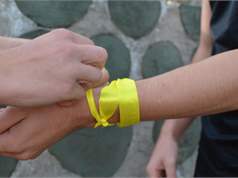 23350539 4Fc0 4Ef9 Aee5 Beb748dc1517