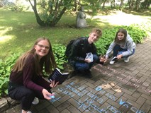 Sirds Uz Trotuāra 31