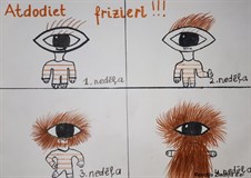 Rendijs Ziediņš 8E K