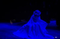 33780053415 2374C4b508 K