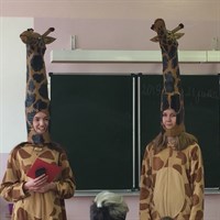 50309901 412476962822151 8504125410328444928 N